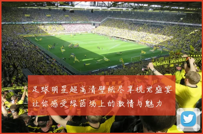 足球明星超高清壁纸尽享视觉盛宴让你感受绿茵场上的激情与魅力