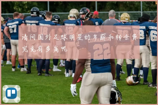 请问国外足球明星的年薪和转会费究竟有多高呢