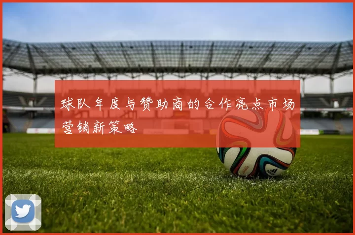 球队年度与赞助商的合作亮点市场营销新策略