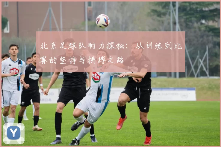 北京足球队耐力探秘：从训练到比赛的坚持与拼搏之路