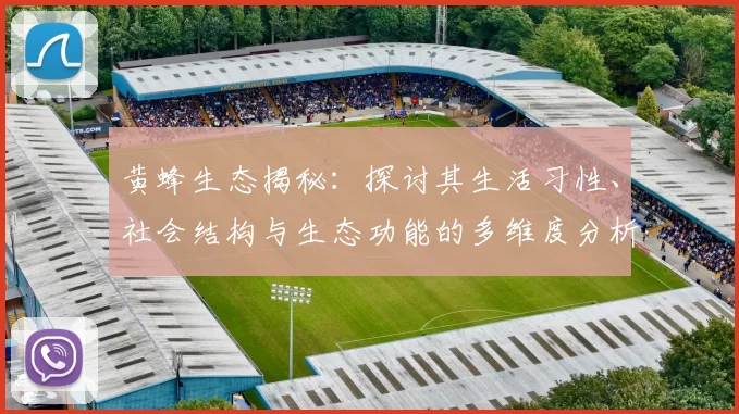 黄蜂生态揭秘：探讨其生活习性、社会结构与生态功能的多维度分析