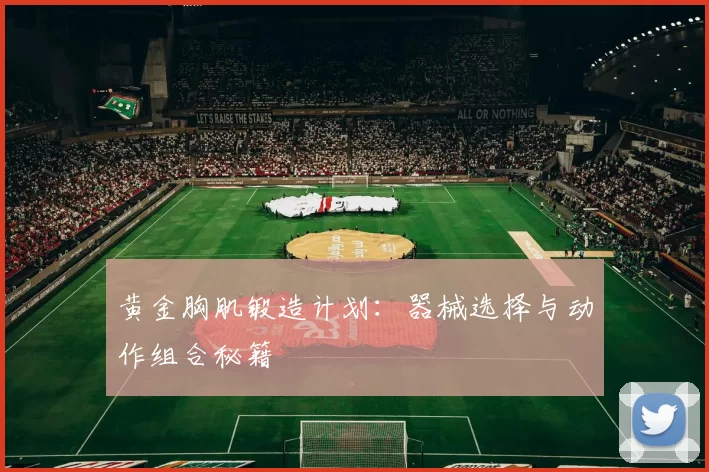 黄金胸肌锻造计划：器械选择与动作组合秘籍