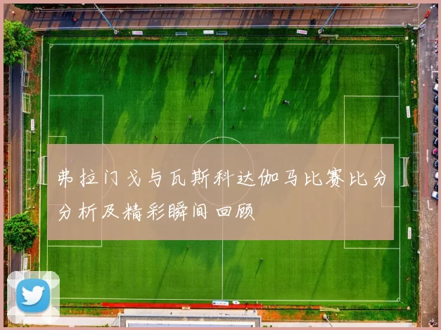 弗拉门戈与瓦斯科达伽马比赛比分分析及精彩瞬间回顾