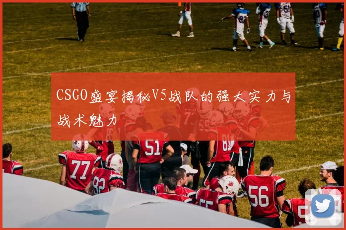 CSGO盛宴揭秘V5战队的强大实力与战术魅力