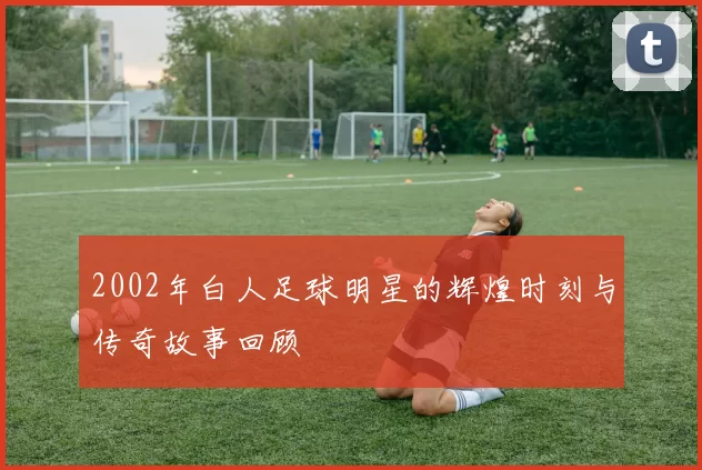 2002年白人足球明星的辉煌时刻与传奇故事回顾