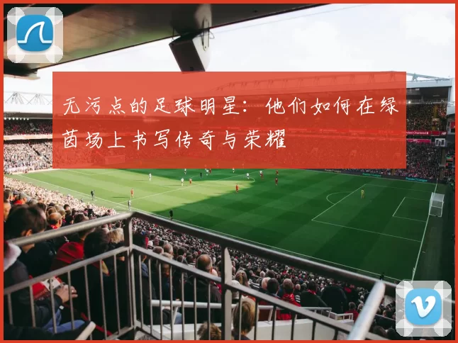 无污点的足球明星：他们如何在绿茵场上书写传奇与荣耀