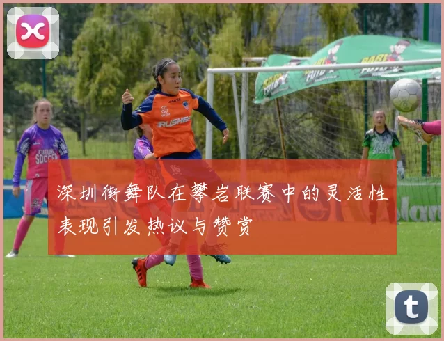 深圳街舞队在攀岩联赛中的灵活性表现引发热议与赞赏