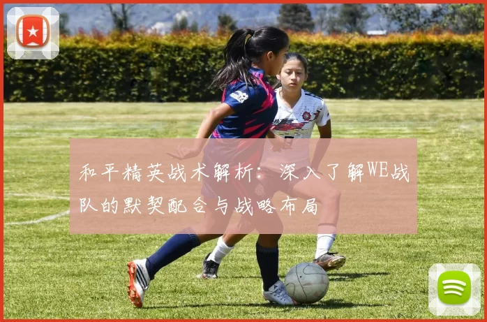 和平精英战术解析：深入了解WE战队的默契配合与战略布局