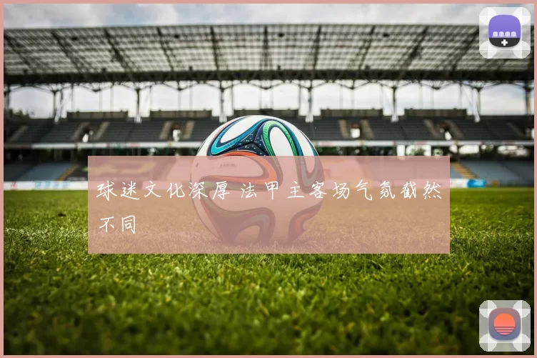 球迷文化深厚 法甲主客场气氛截然不同