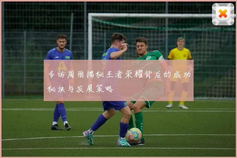 专访周丽揭秘王者荣耀背后的成功秘诀与发展策略