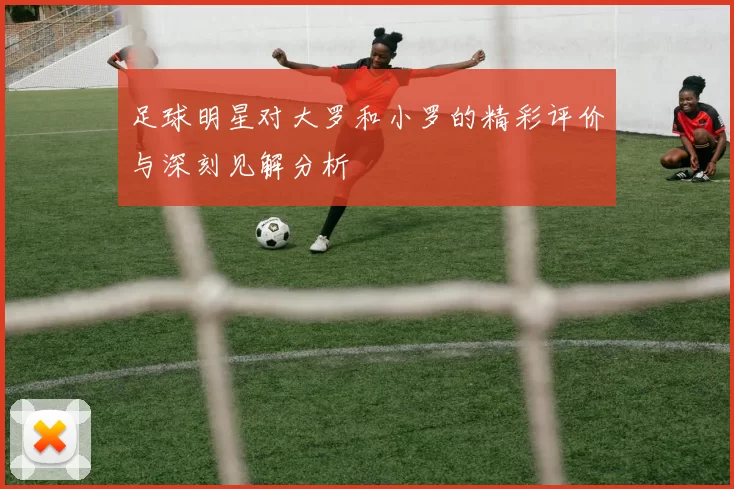 足球明星对大罗和小罗的精彩评价与深刻见解分析