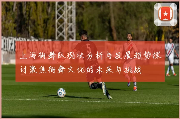 上海街舞队现状分析与发展趋势探讨聚焦街舞文化的未来与挑战
