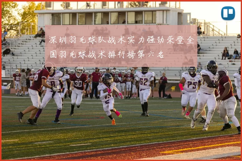 深圳羽毛球队战术实力强劲荣登全国羽毛球战术排行榜第六名