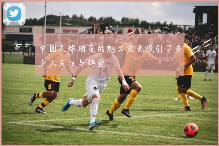 中国足球明星的魅力究竟吸引了多少人关注与热爱