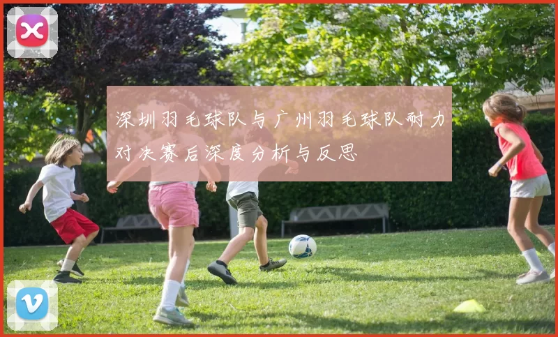 深圳羽毛球队与广州羽毛球队耐力对决赛后深度分析与反思