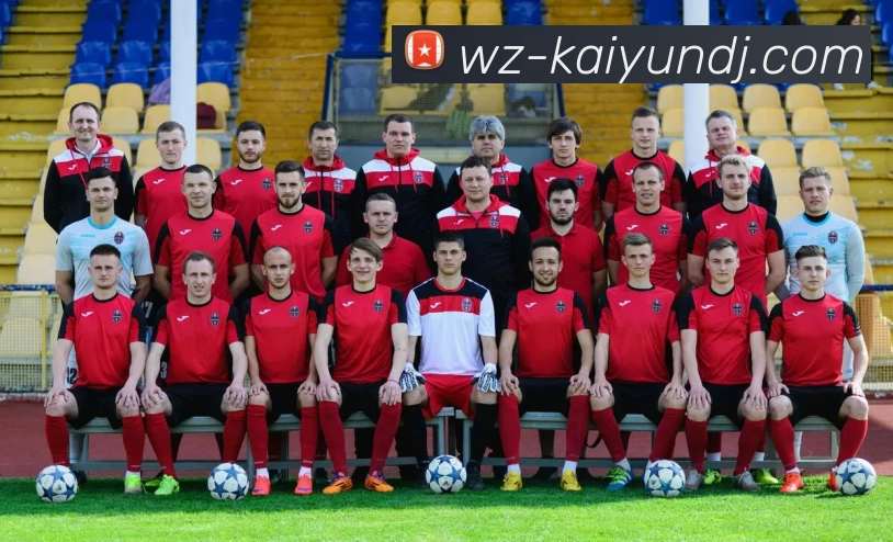 开云平台生态图