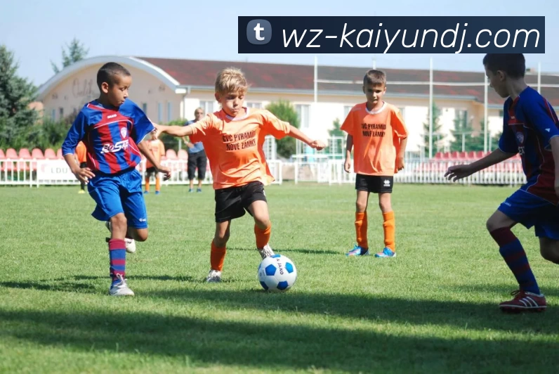 数据防护可视化